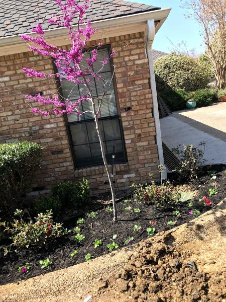 Van Vickle Brothers Landscaping
