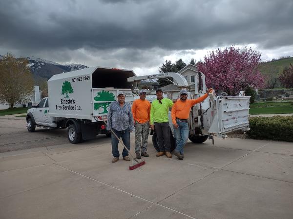Ernesto's Tree Service