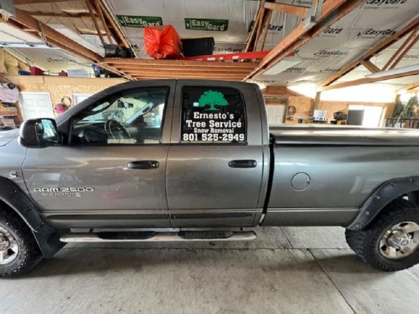 Ernesto's Tree Service