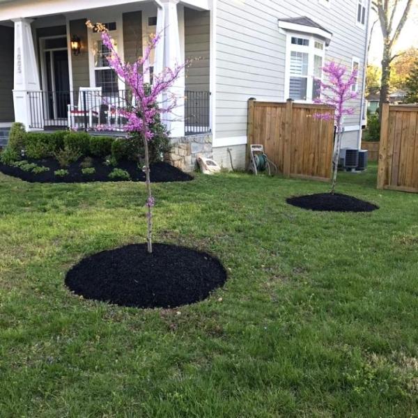 Caballeros Tree Service & Landscaping