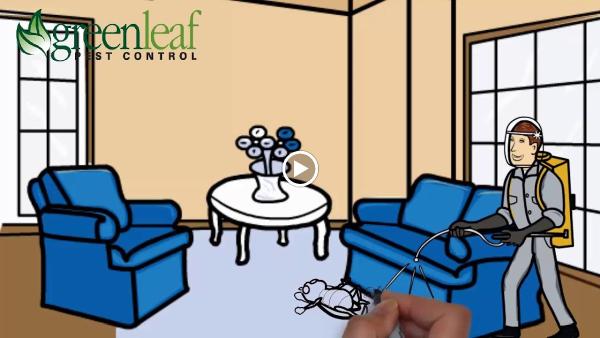 Greenleaf Pest Control