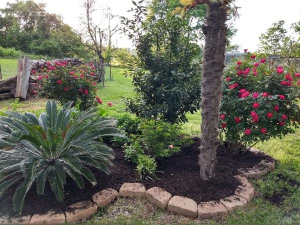 Mr Rogers Landscaping