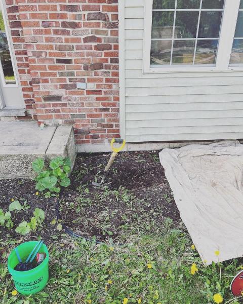Rootbusters Plumbing