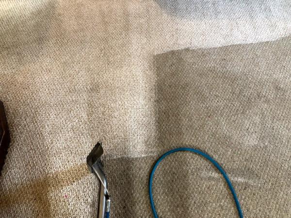 Priceless Carpet & Tile Care