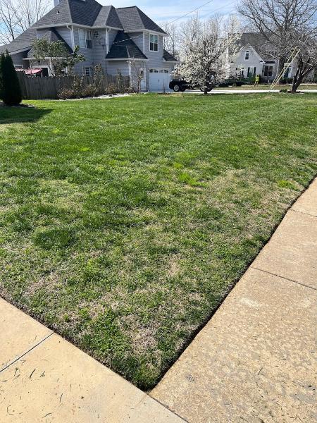 T.will's Lawn Care