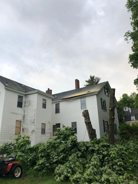 C.T. Tree Service