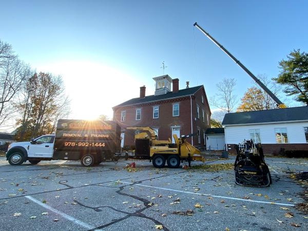 C.T. Tree Service
