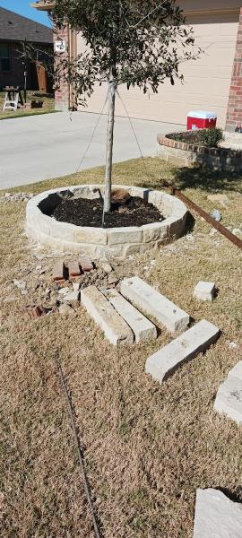 HJ Lawn & Tree Service