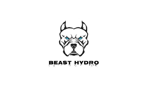 Beast Hydro Excavation