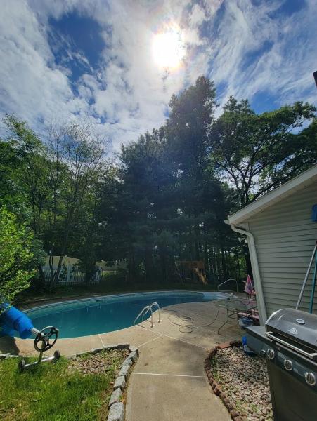 All Things Tree Service