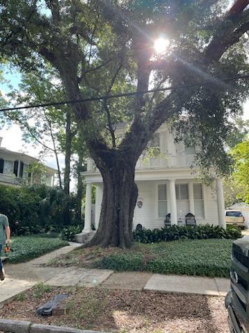 Timber Tree Service Inc