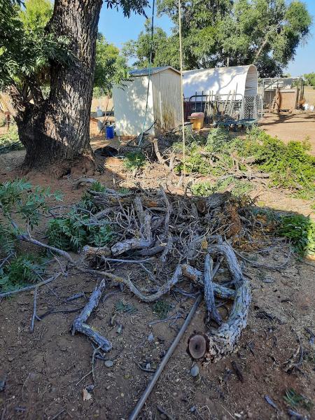 Lords Light Logging & Tree Service