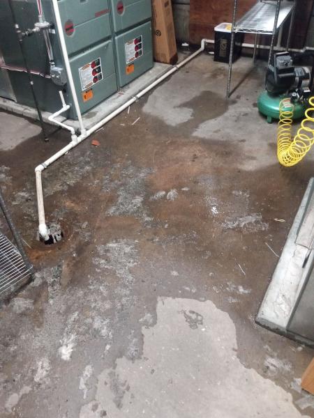 Dryguys Restoration