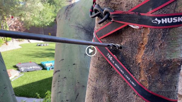 Scottsdale Tree Trimmers
