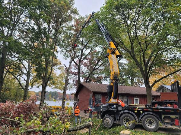 Timber Ridge Tree Care