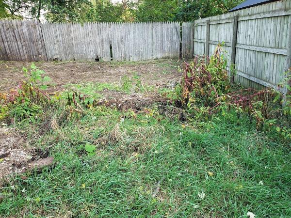 Timber Ridge Tree Care