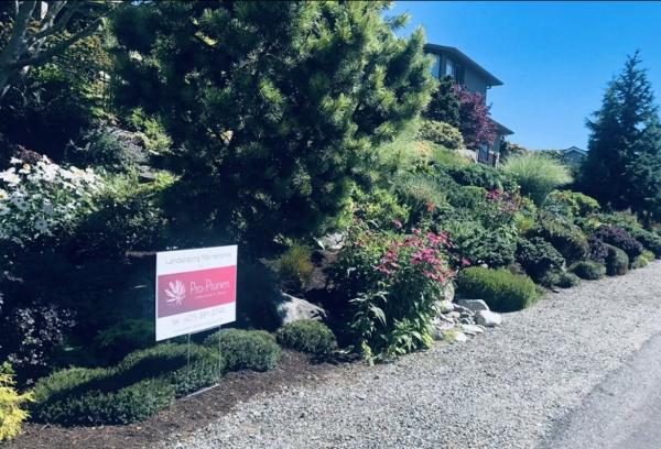 Pro Pruners Landscaping & Design LLC