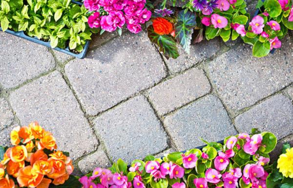Poteet Landscaping Inc. Dba: Georgia Outdoor Services