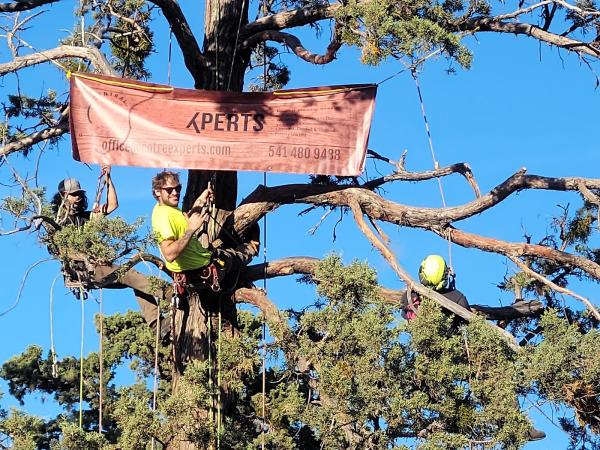 Central Oregon Tree Experts