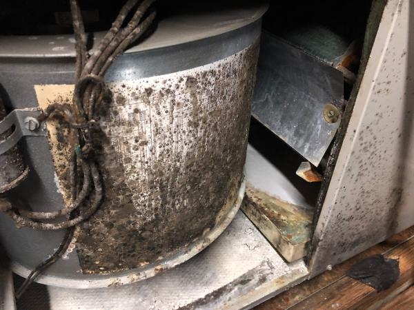 Spotlight Home Inspection
