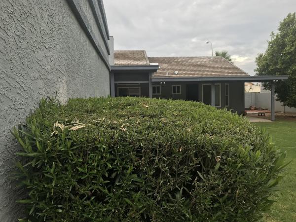 Innovative Landscaping Services