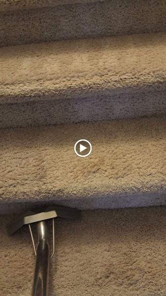 D&D Carpet Cleaning & Janitorial