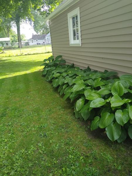Vanbecks Roofing & Siding