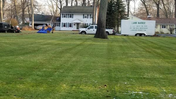Lawn Barber
