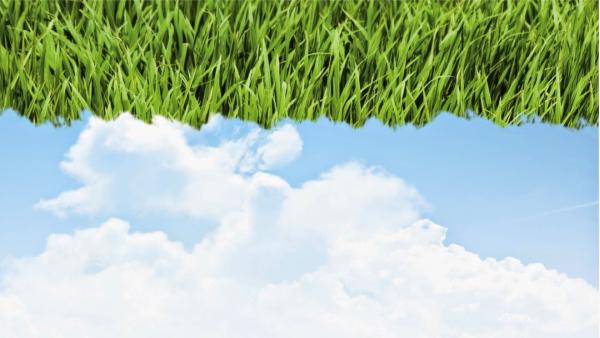 Emerald Lawns Inc