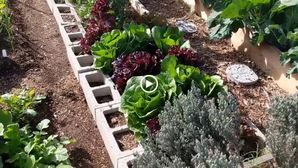 Edible Earth Designs