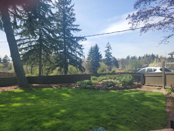 Canzler Tree Service
