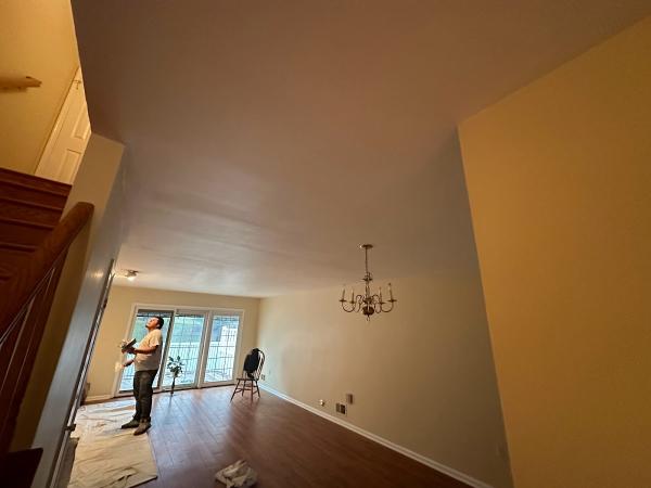 Dolman's Painting LLC