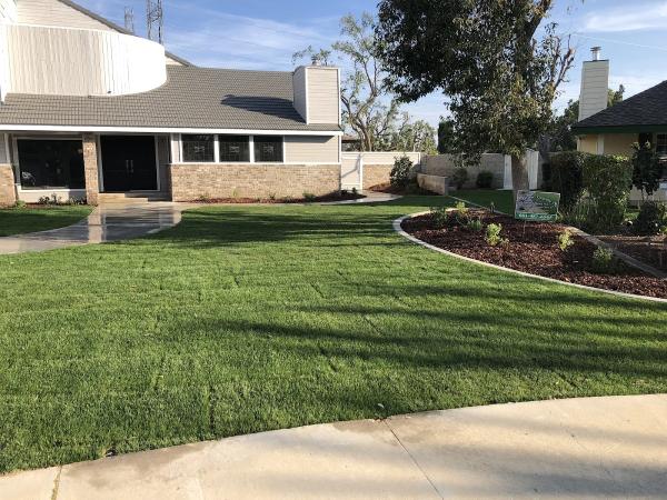 Groundcare Landscape