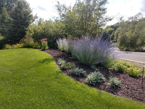 Metro Lawncare