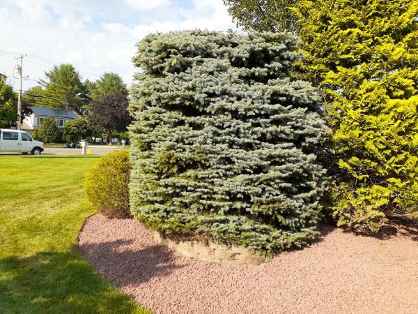 Grillon's Landscape and Design
