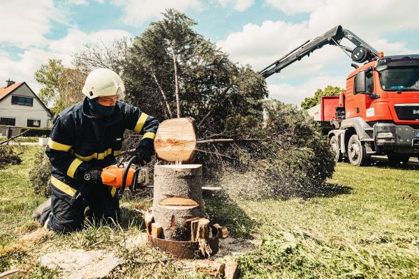 Central Wisconsin Tree Service