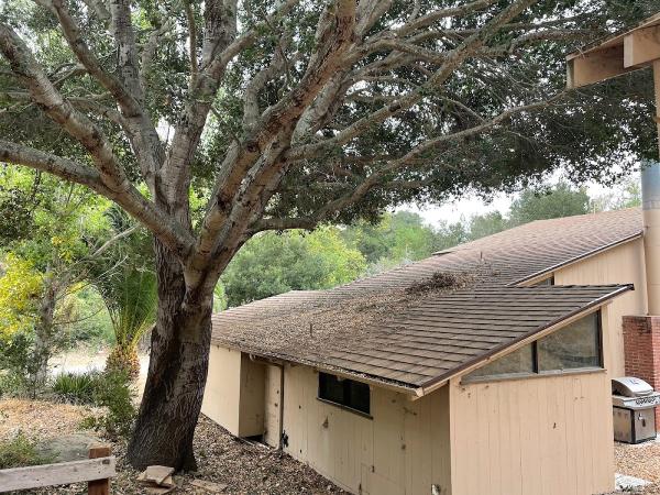 RTS Arborists LLC