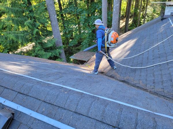Salmon Bay Window Cleaning