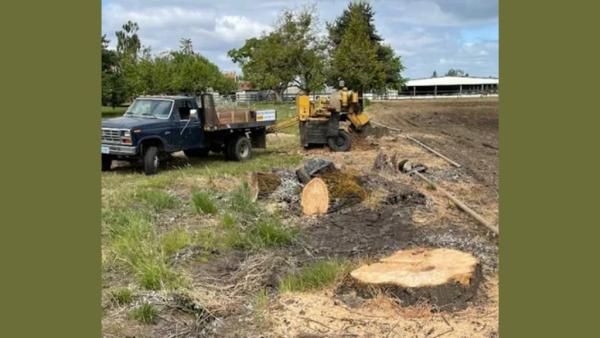 Noosh Stump Removal & Landscape Restoration