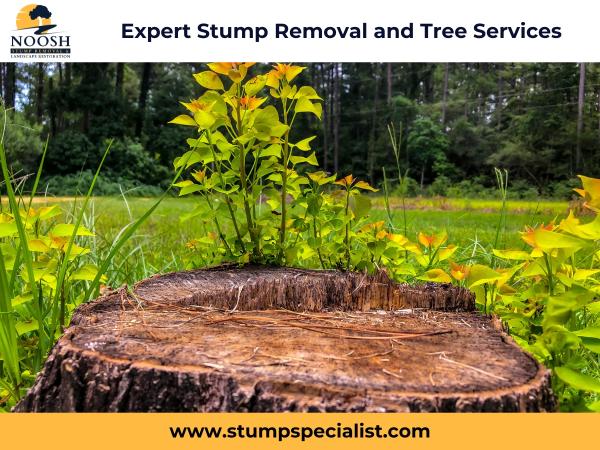 Noosh Stump Removal & Landscape Restoration