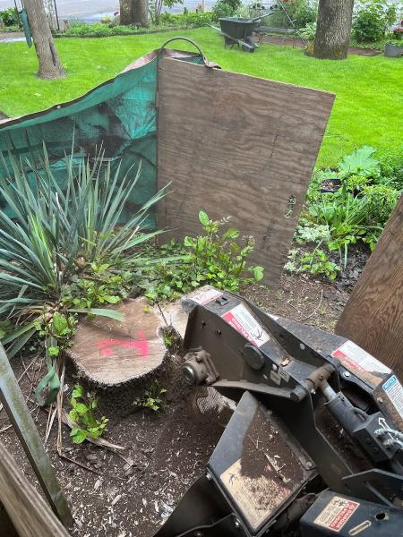 Noosh Stump Removal & Landscape Restoration