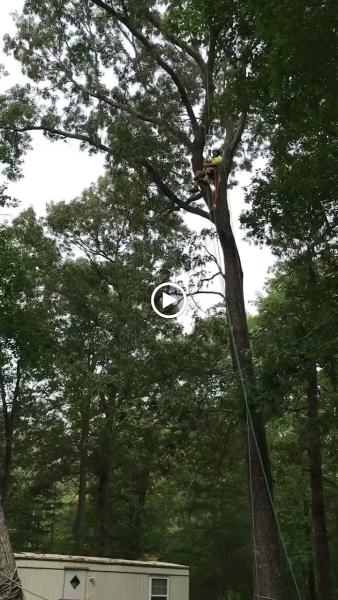 Jbeez Outdoor Experts LLC