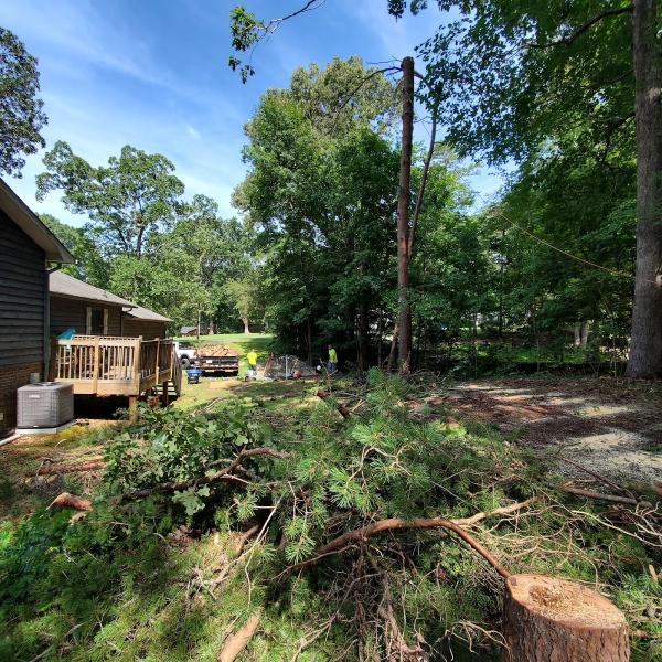 Jbeez Outdoor Experts LLC