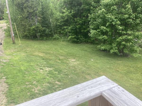 Dillion's Lawncare