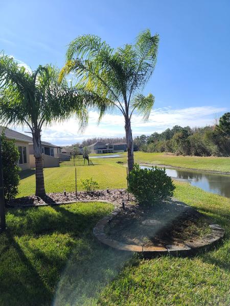 Wesley Chapel Tree Service