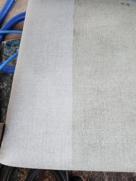 Little Piggies Carpet Cleaning