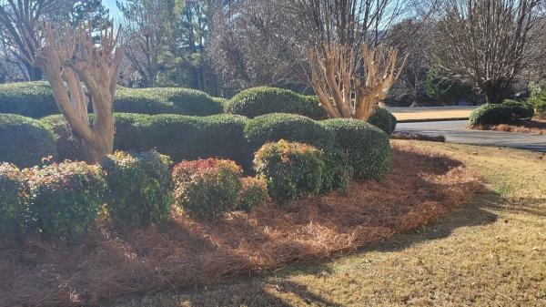Brian Lofty Lawn Care