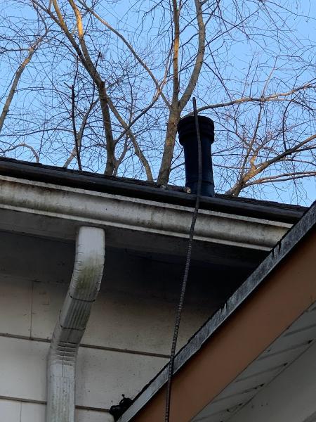 The Rooter Guy