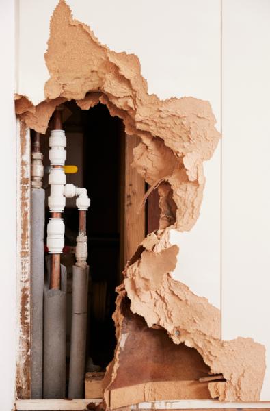 Water Damage Restoration Pros