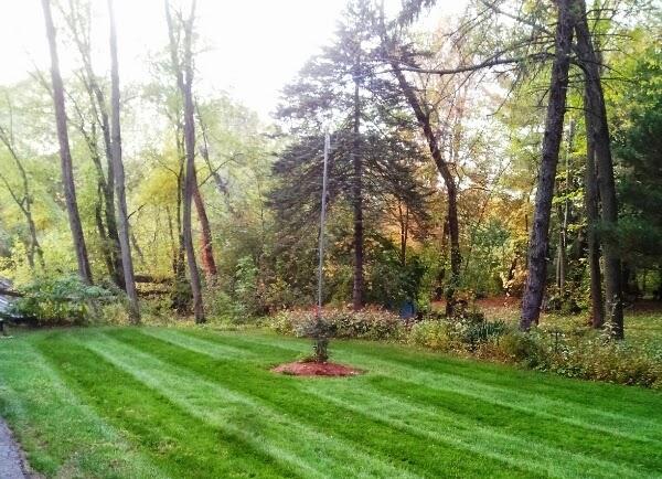 Lawn Boss Landscaping LLC